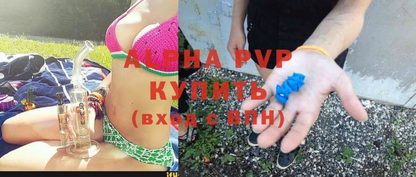 прущие грибы Балабаново