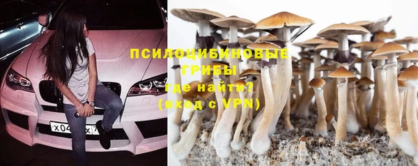 дурь Балахна