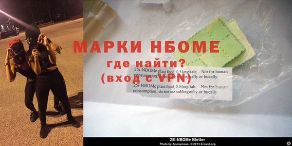 прущие грибы Балабаново
