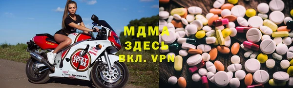 прущие грибы Балабаново