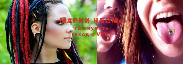 прущие грибы Балабаново