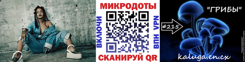 сколько стоит  Магас  Галлюциногенные грибы Psilocybe 