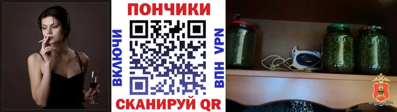 кракен онион  Магас  Бошки марихуана ГИДРОПОН 